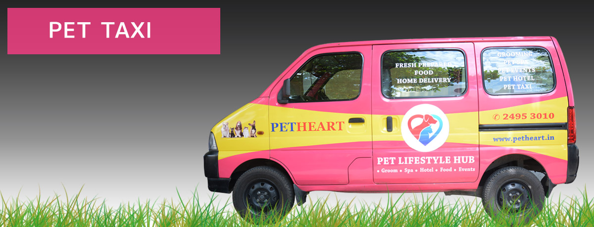 PET TAXI